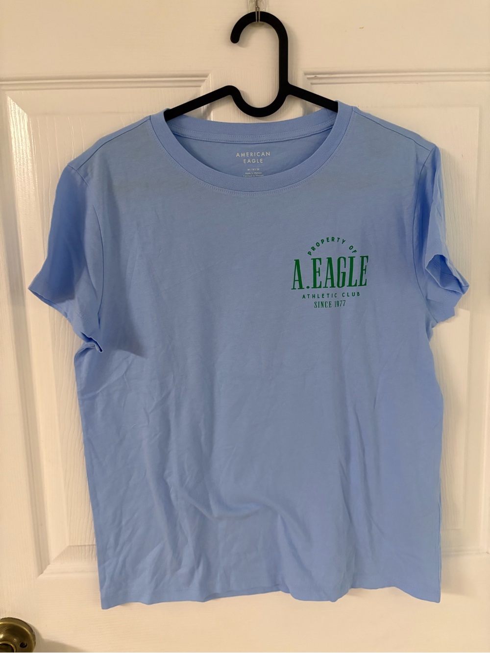 new American Eagle Blue Graphic Crewneck T-Shirt